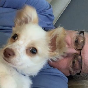 Meet your Posher, Elliot